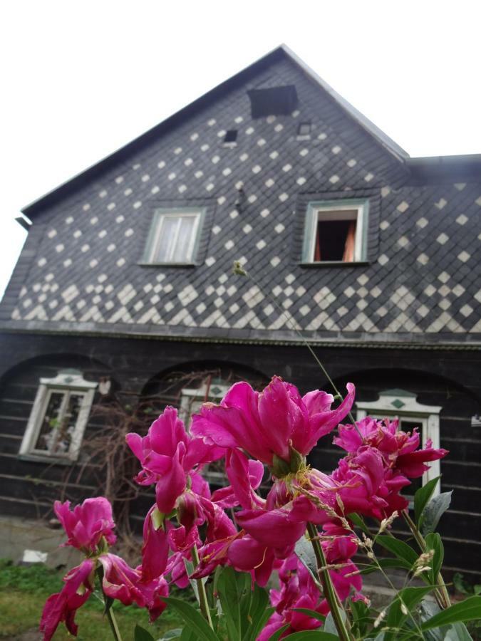 Prazdninovy Dum Nove Hrabeci Villa Šluknov Exterior foto